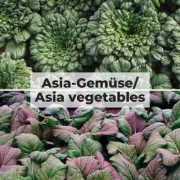 Asia-Gemüse - Gemüse Saat Sortiment
