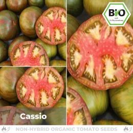 BIO Cassio Tomatensamen (Fleischtomate)