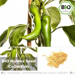 BIO NuMex Seed Collection
