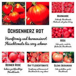 Bio Saat Sortiment Fleischtomate- 5 unterschiedliche Sorten inklusive einer extra Berner Rose-Tomate