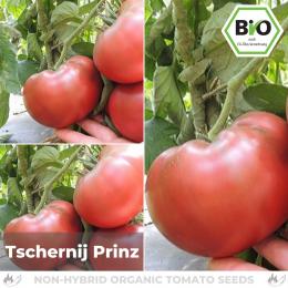 BIO Tschernij Prinz Tomatensamen (Fleischtomate)