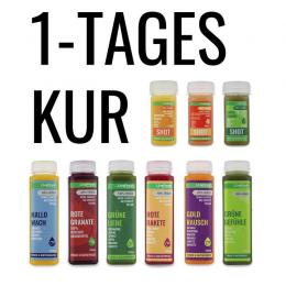 1-Tages Saftkur - Frische Wellness Säfte & Shots - Frucht- und Gemüsesäfte für einen kompletten Tag - Vegan, keine Zusätze / LiveFresh Saftmanufaktur