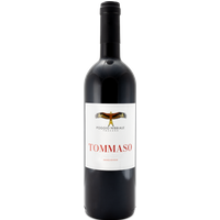 2018 Tommaso Toscana Sangiovese IGT