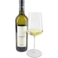 2020 Gamlitz Sauvignon Blanc