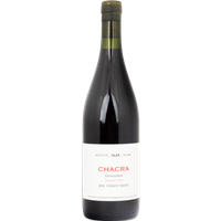 Angebot für 2021 Treinta Y Dos Pinot Noir Bodega Chacra SRL, Kategorie Weine & Spirituosen -  jetzt kaufen.