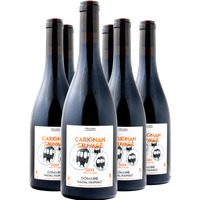 2022 Carignan Sauvage