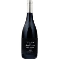 2023 Viñedo de Altura