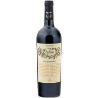 2024 Negroamaro IGP Salento 