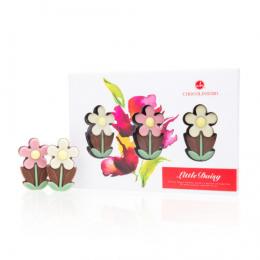 3 Little Daisy - Schokolade - 3 Blumen aus Schokolade