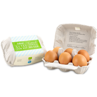 6 frische Chiemgauer Bio-Eier, Güteklasse A  Gewichtsklasse L