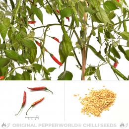 Aji Chinchi Rojo Chilisamen