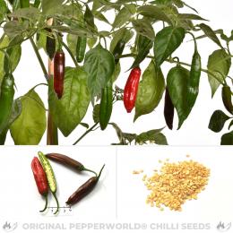 Aji Red Big Brasil Chilisamen