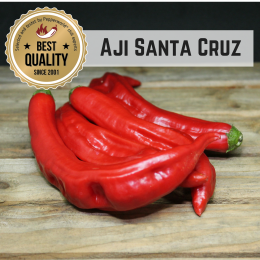 Aji Santa Cruz Chilisamen