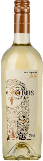 Asio Otus Weiss Vino Varietale ditalia Jg. Cuvee aus 70 Proz. Chardonnay, 30 Proz. Sauvignon Blanc