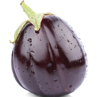 Aubergine violettSizilien