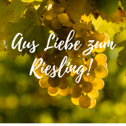 Aus Liebe zum Riesling