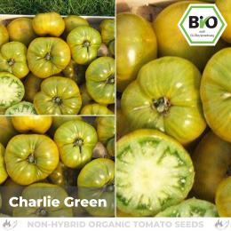 BIO Charlie Green Tomatensamen (Fleischtomate)