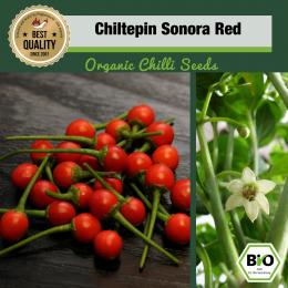 BIO Chiltepin Sonora Red Chilisamen