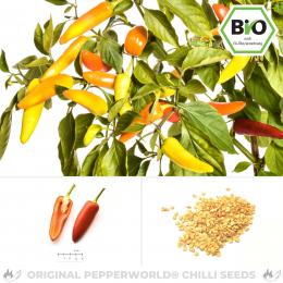 BIO Hungarian Wax Chilisamen