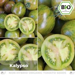 BIO Kalypso Tomatensamen (Salattomate)