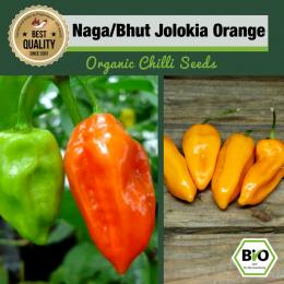 BIO Naga/Bhut Jolokia Orange Chilisamen