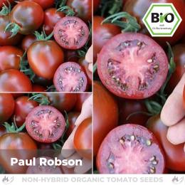 BIO Paul Robson Tomatensamen (Salattomate)