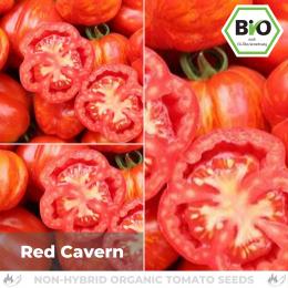 BIO Red Cavern Tomatensamen (Salattomate)