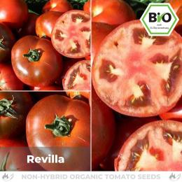 BIO Revilla Tomatensamen (Salattomate)
