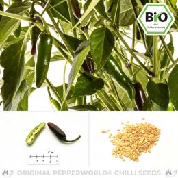 BIO Serrano Chilisamen