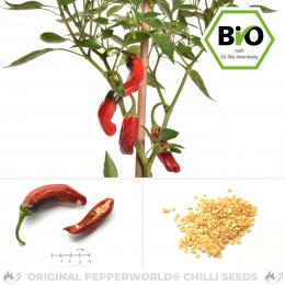 BIO Shishito Pepper Chilisamen