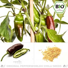 BIO Sweet Chocolate Chilisamen