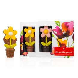 ChocoBouquette Blumen aus Schokolde