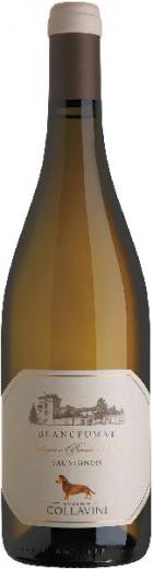 Collavini Eugenio Sauvignon Blancfumat Collio DOC Jg. 2022