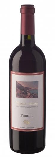 Costa D'Amalfi Furore Rosso 2011 750 ML Marisa Cuomo DOC