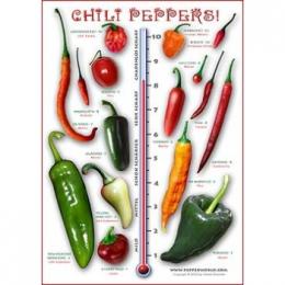 Das Chili Pepper Poster 3er-Set