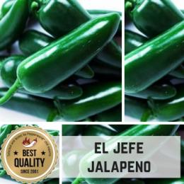 El Jefe Chilisamen