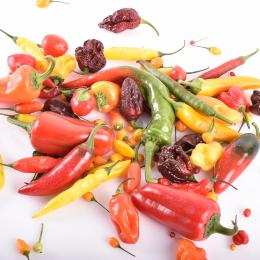 Frische Chili BBQ Mix