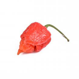 Frische Chili Carolina Reaper, 50g