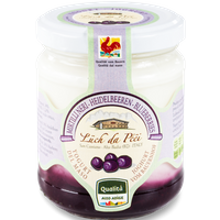Joghurt mit HeidelbeerenAlta Badia