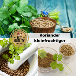 Koriander, kleinfruchtiger Samen