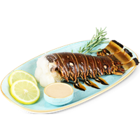 Langustenschwanz ganz,  Größe ca. 16 - 18 cm