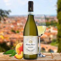 Lugana Classico DOC - Weißwein