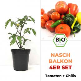 Nasch-Balkon 4er Set - BIO Pflanzen