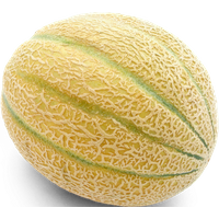 Netzmelone King's Red, Lorenzini Sizilien