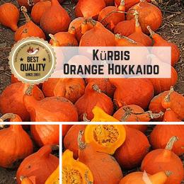 Orange Hokkaido (Kürbis) Samen