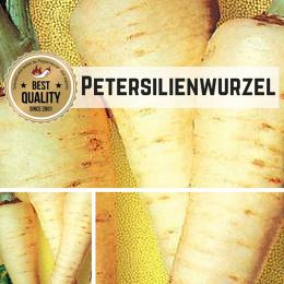 Petersilienwurzel (Halblange) Samen