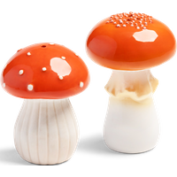 Pilze Salz- und Pfefferstreuer 9.5 x Ø 7 | 8 x Ø 6 cm