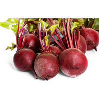 Rote Beete, gegart & vakuumiert