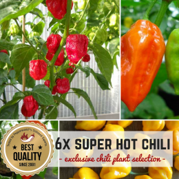 SUPER HOT CHILIS BIO Pflanzen-Power-Pack